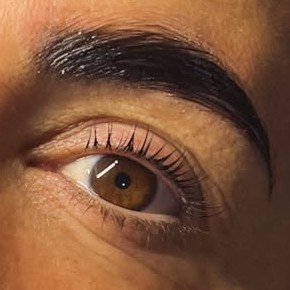 Sourcil brossé très dense, browlift